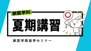 獣医学科合格に向けての夏期講習