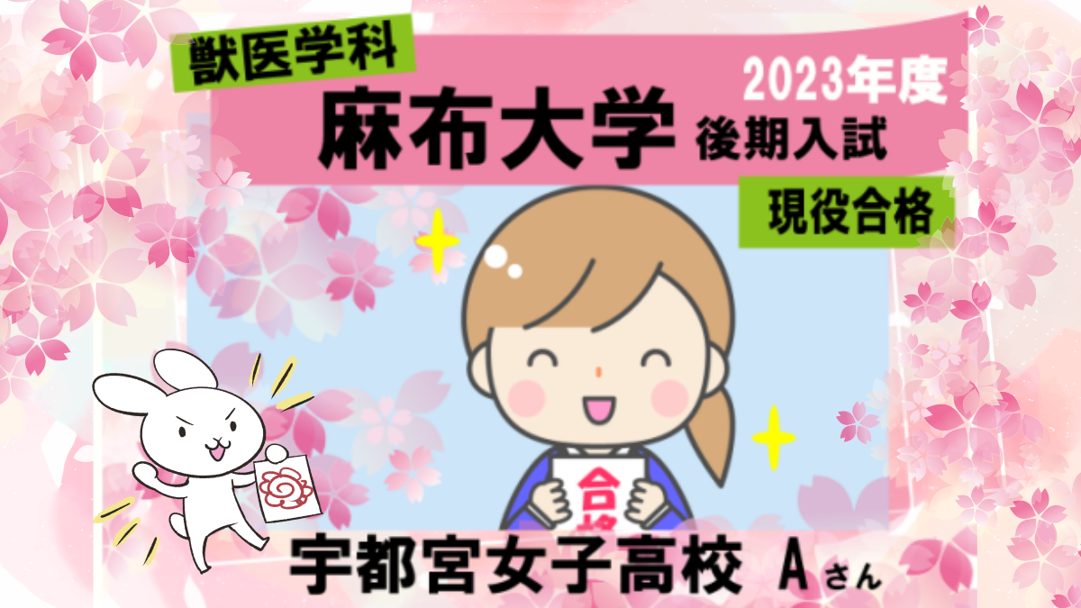 獣医学科合格体験記2023｜麻布大学に後期入試で現役合格！ | 獣医学部 