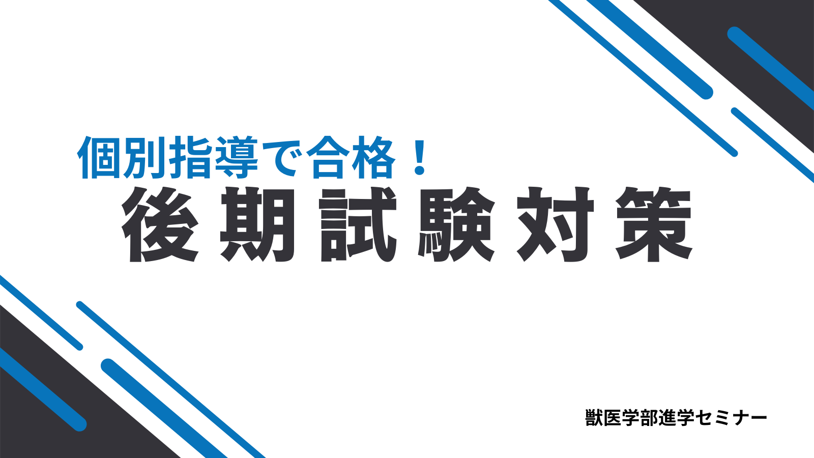 獣医学科後期対策 | 獣医学部進学セミナー