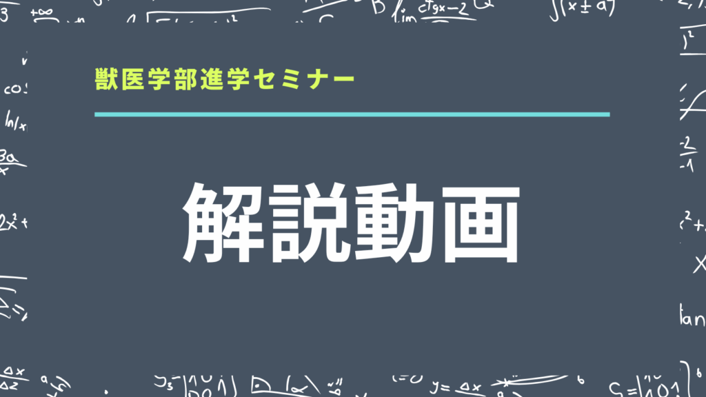 解説動画