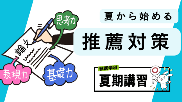 夏からスタート推薦対策