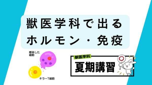 獣医生物（ホルモン・免疫）