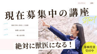 現在募集中の講座